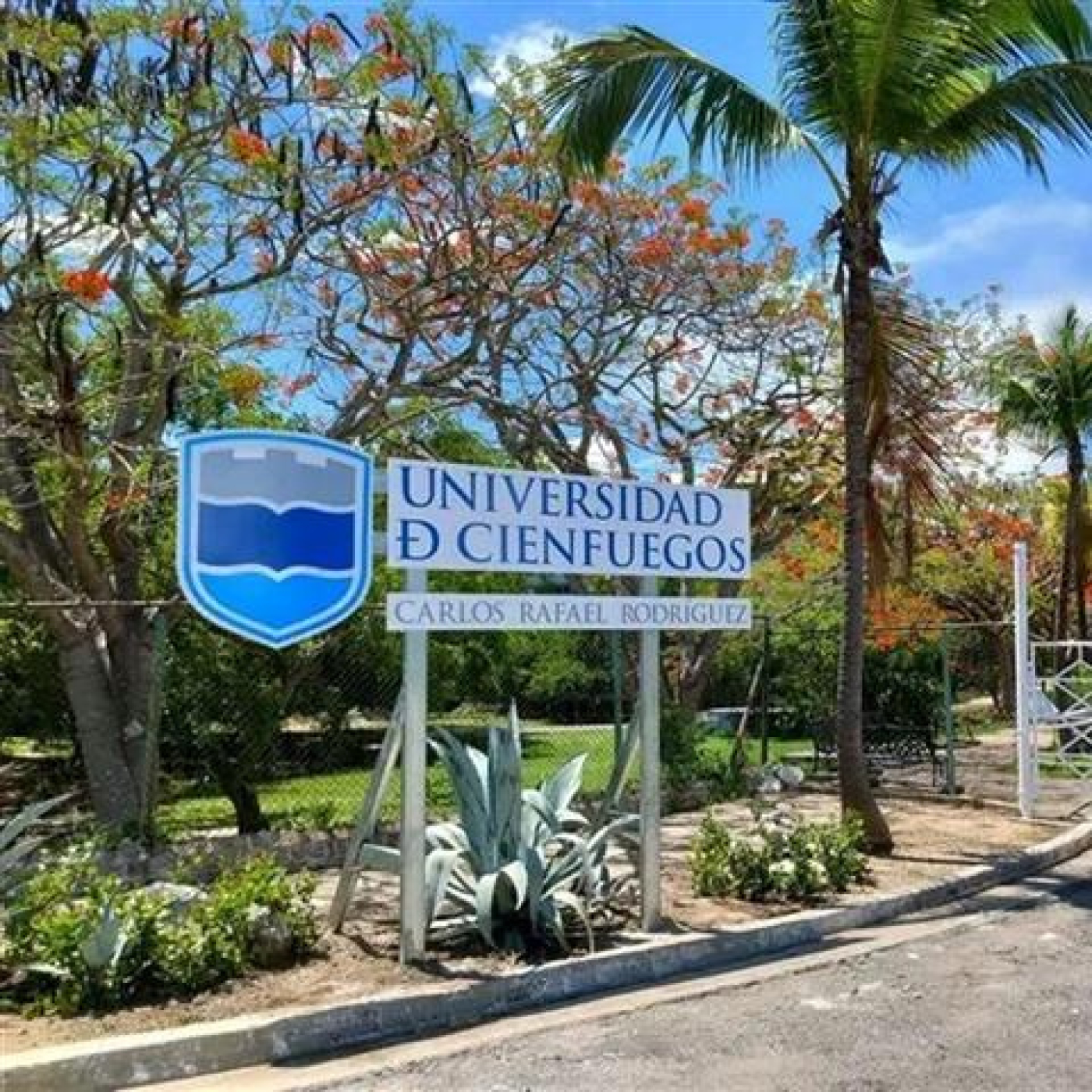 Nueva Carrera de Ingeniería del Transporte en Universidad de Cienfuegos