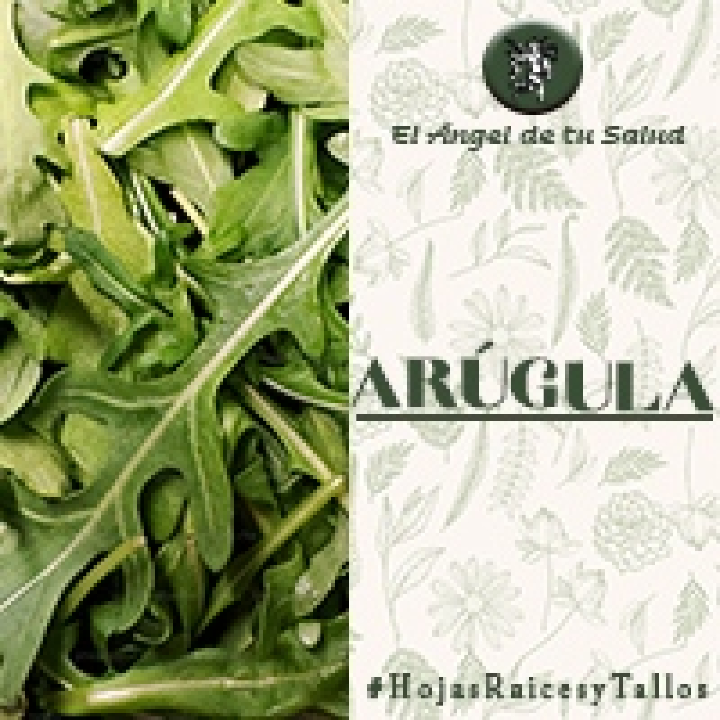 El Ángel de tu Salud - Arúgula**