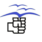 embed image