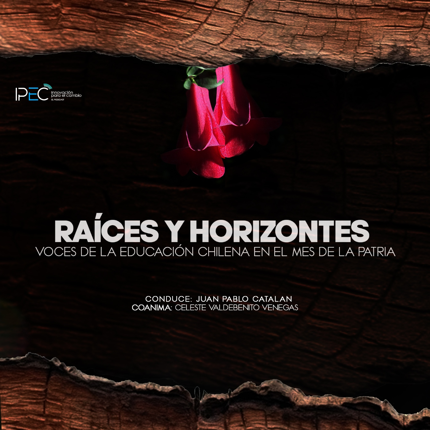 T4 Episodio 29: Educar desde la recuperación de la identidad ancestral episode artwork