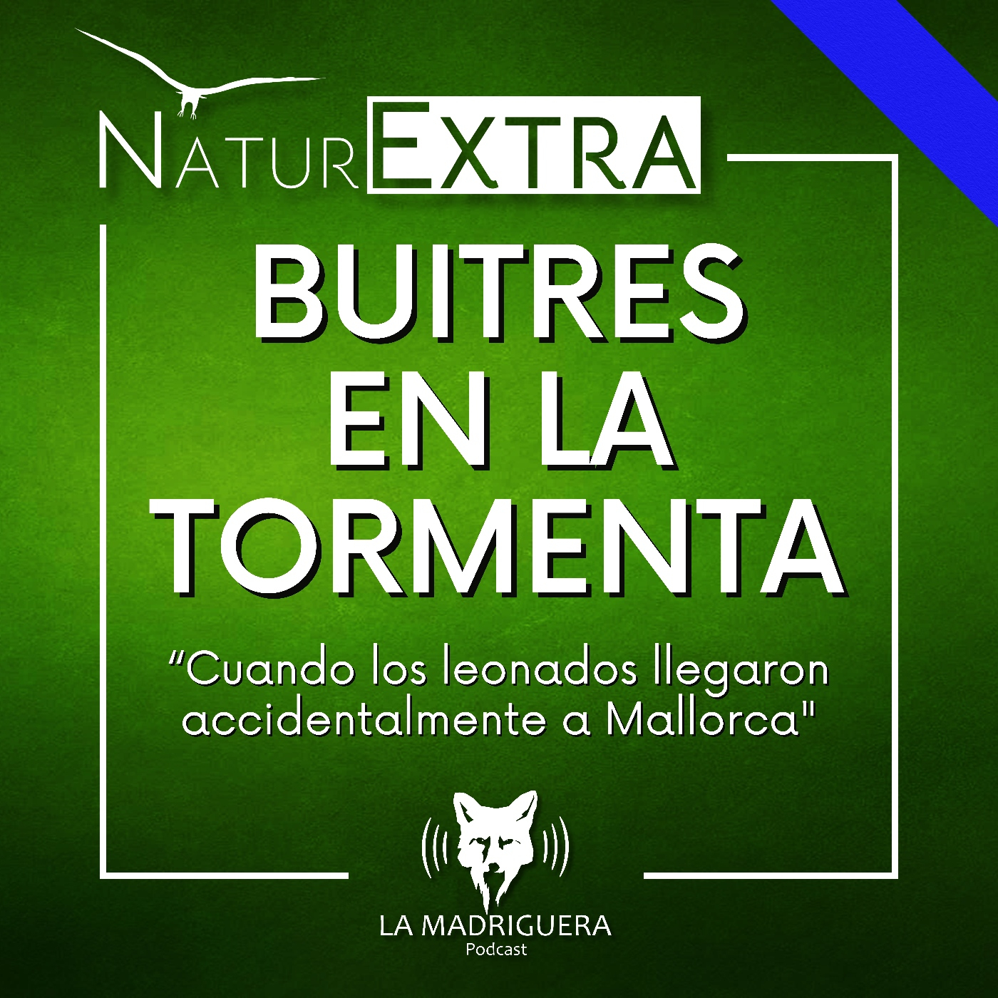 Buitres en la tormenta – NaturExtra. (07/2025) – Episodio exclusivo para mecenas
