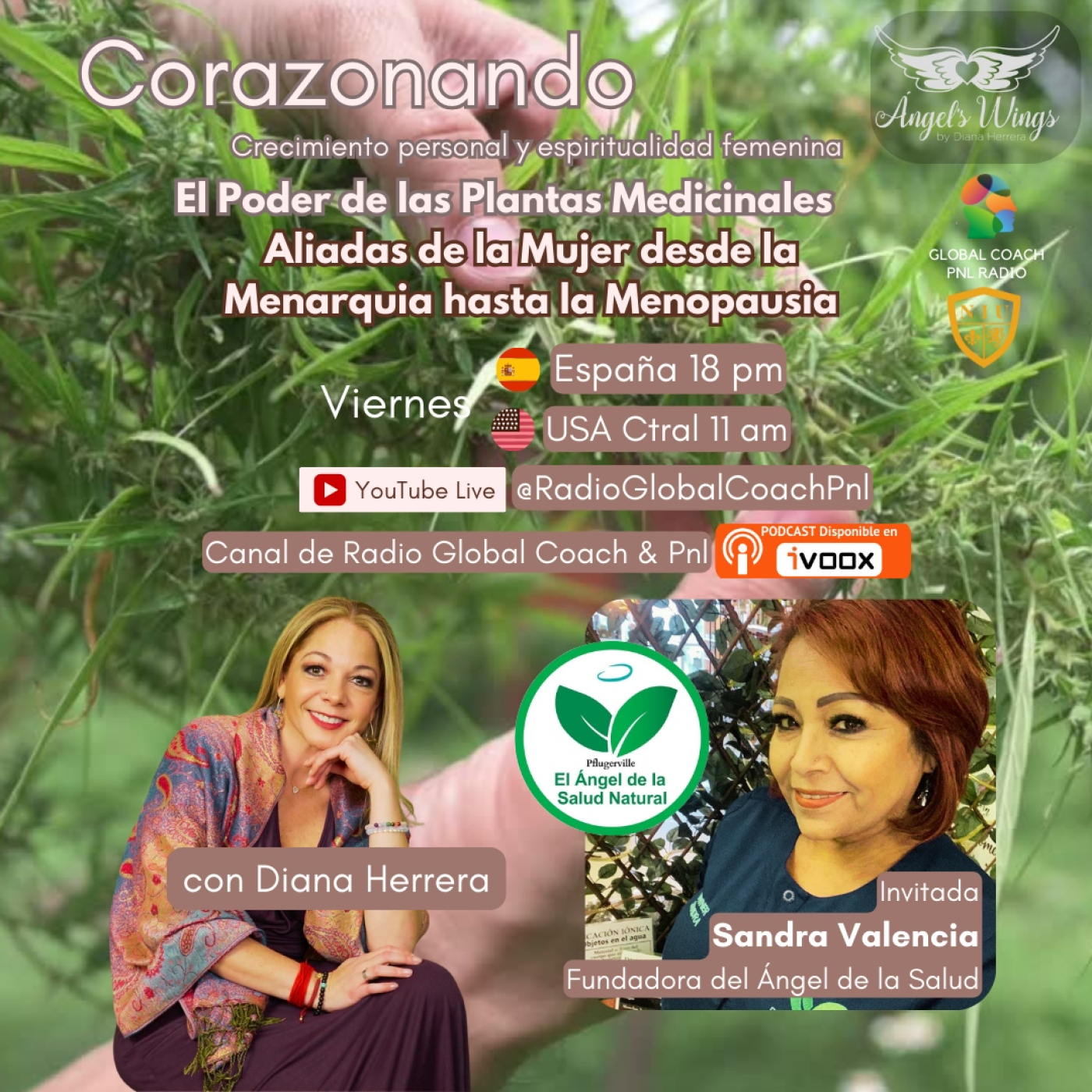 Radio Global Coach & Pnl