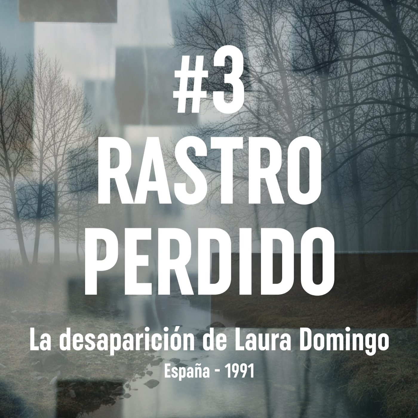 Ep. 3 Rastro Perdido - La desaparición de Laura Domingo (Burgos, 1991)