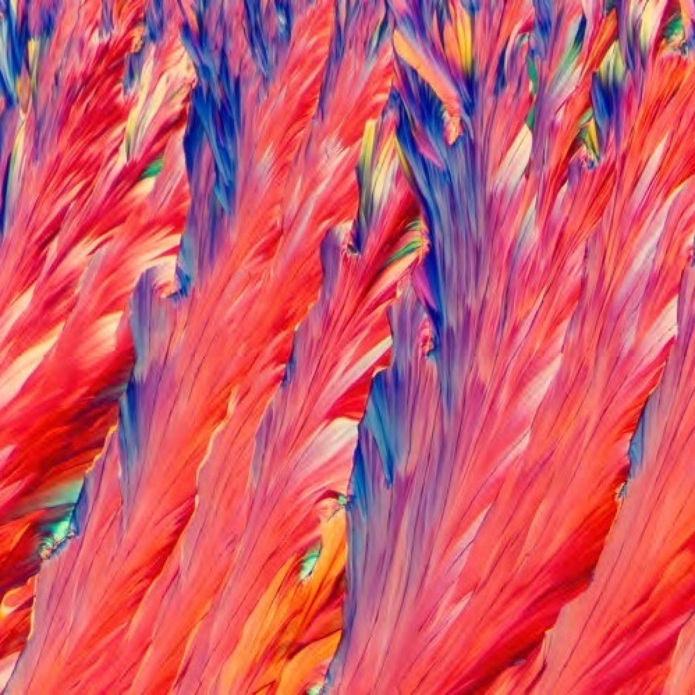 Fotciencia19