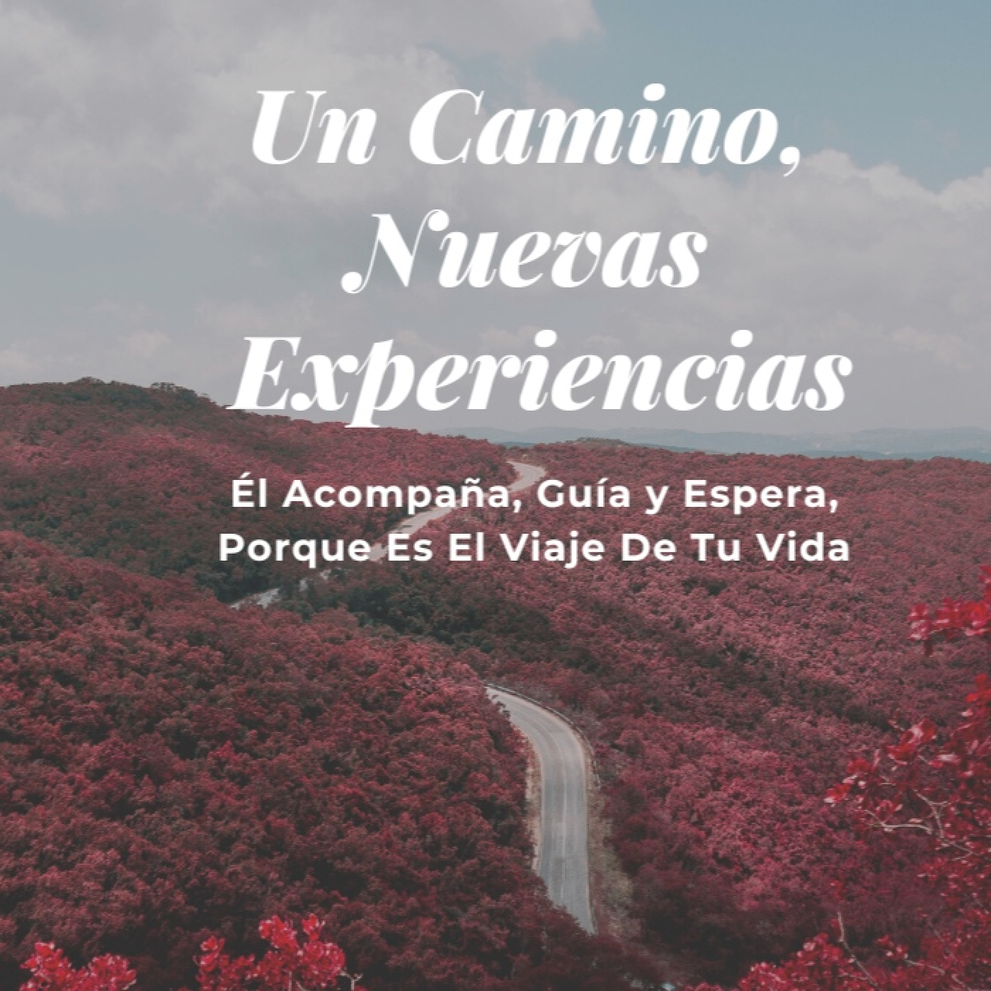 2. Continuamos Caminando