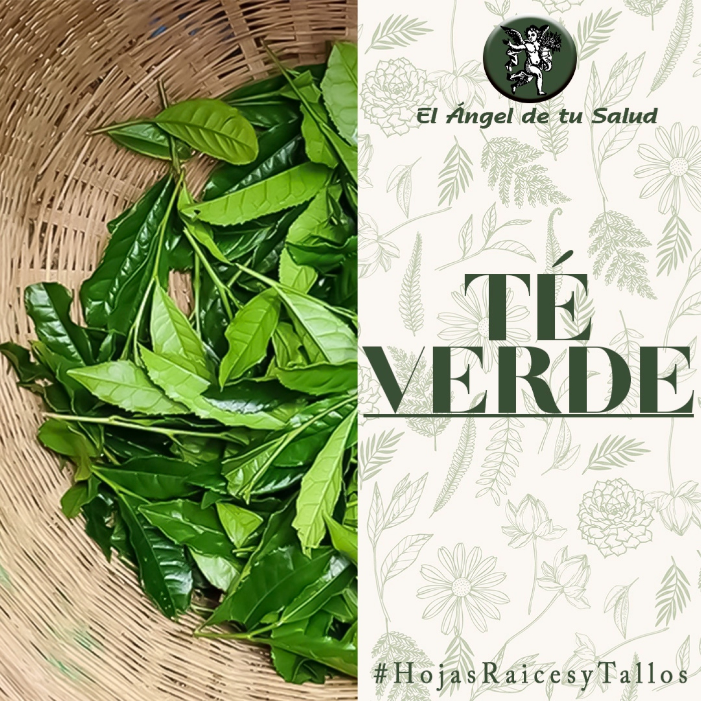 El Ángel de tu Salud - Té Verde** episode artwork