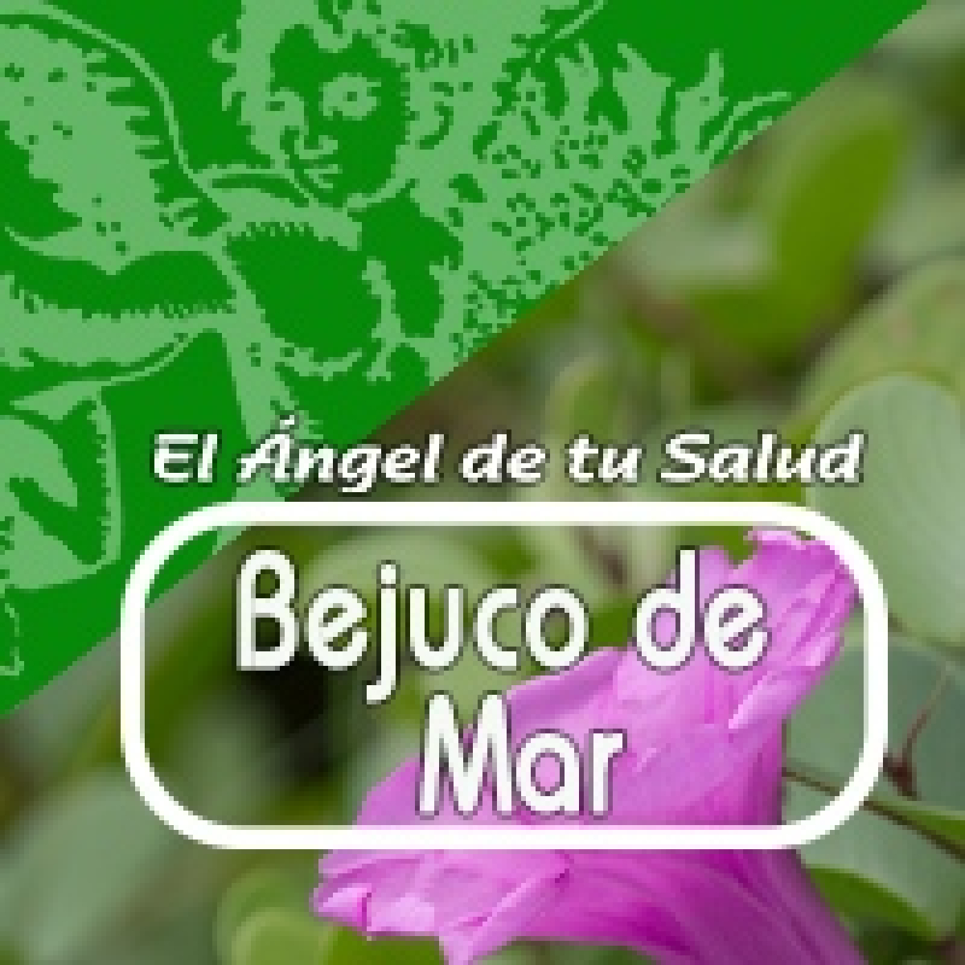 El Ángel de tu Salud - BEJUCO DE MAR*