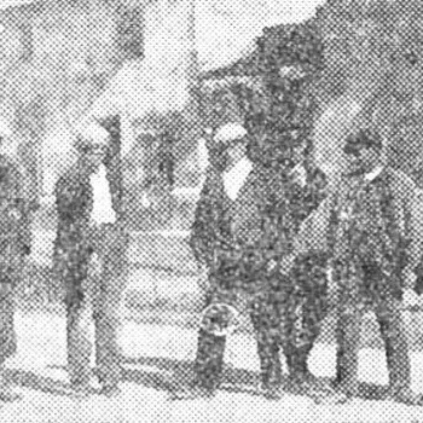 Bulos, Falacias... y otras historias.