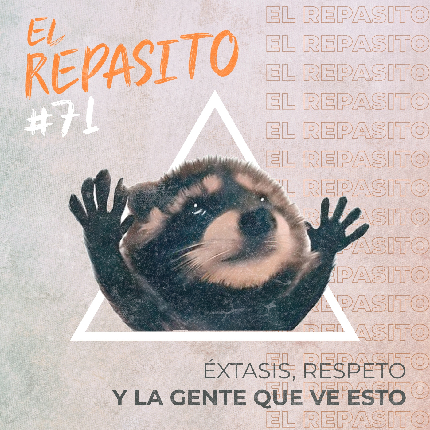 EL REPASITO