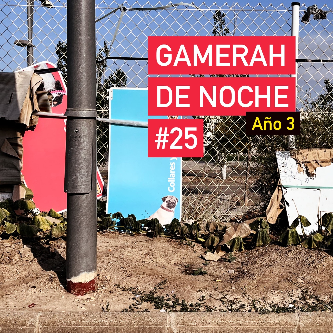 Gamerah de noche A3 #25: Sé lo que hicisteis