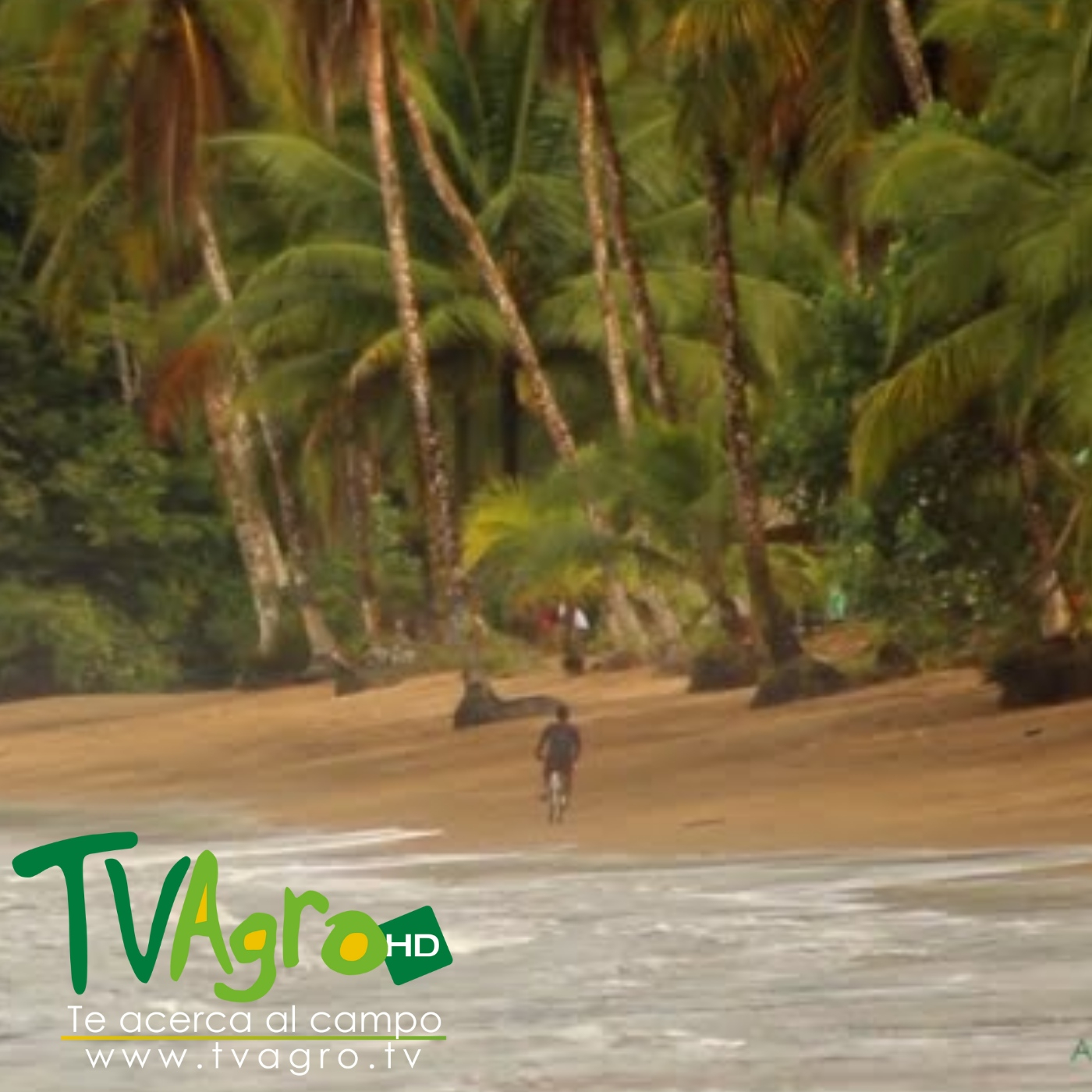 Recorrido Turístico por Bahía Solano (Chocó, Colombia) - TvAgro por Juan  Gonzalo Angel - TV AGRO - Podcast en iVoox