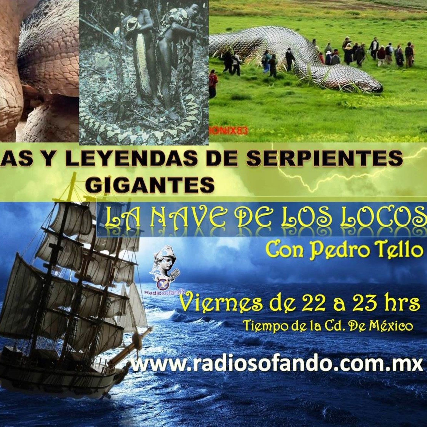 La Nave de los Locos_HISTORIAS DE SERPIENTES GIGANTES_05-02-21 episode artwork