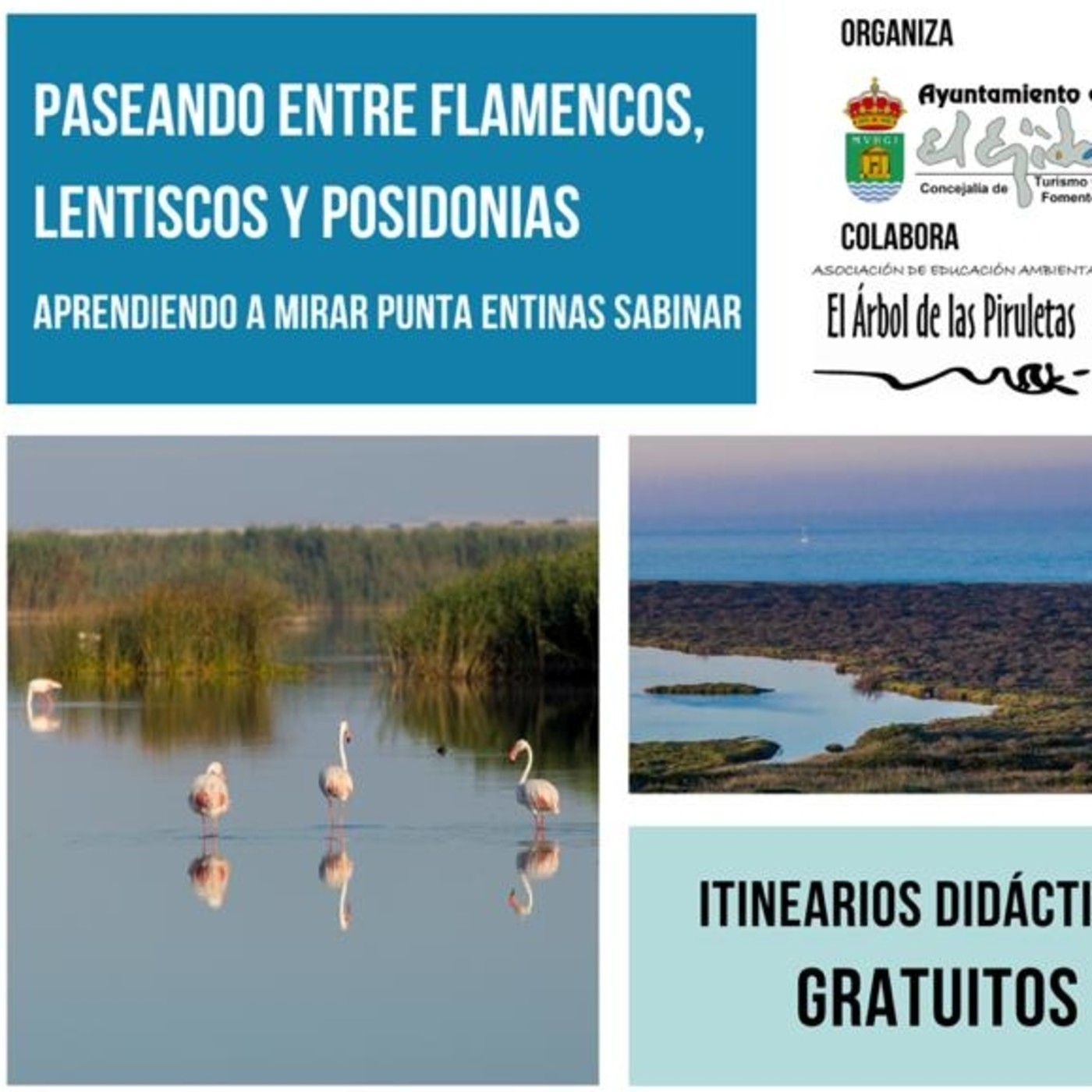 Podcast de GRANSEISMO