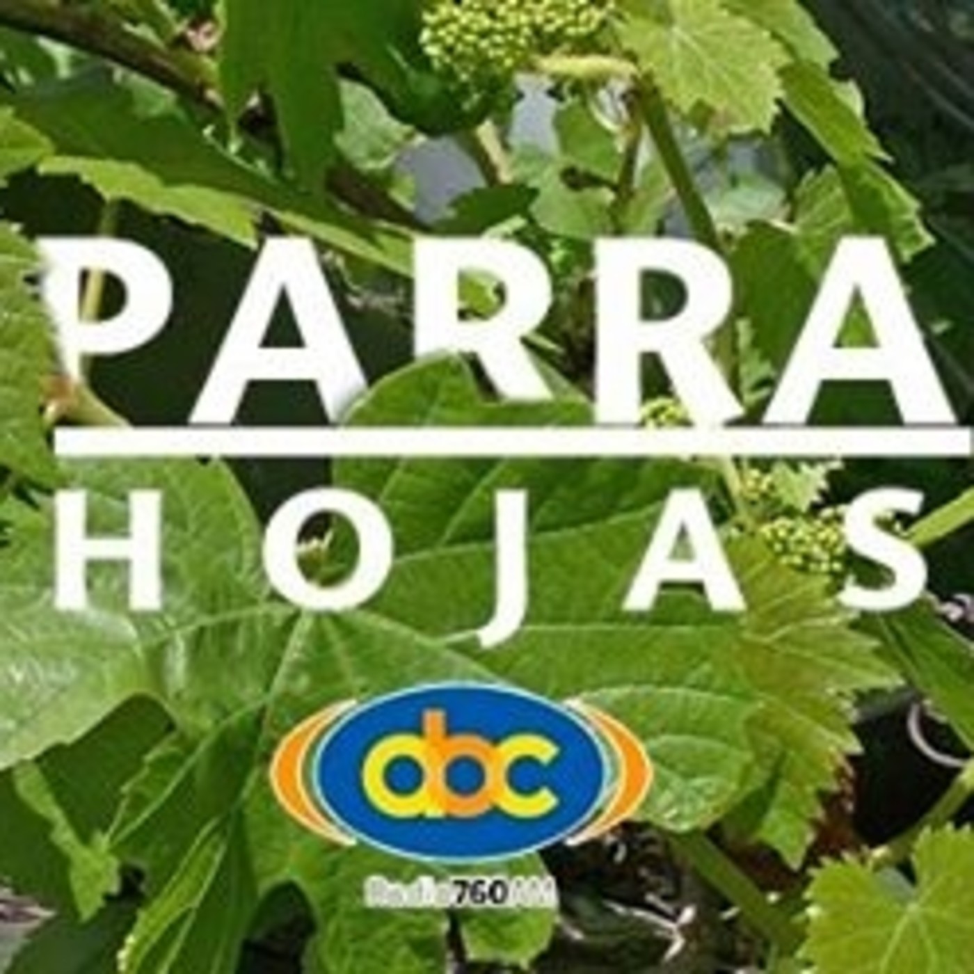 El Ángel de tu Salud - PARRA episode artwork