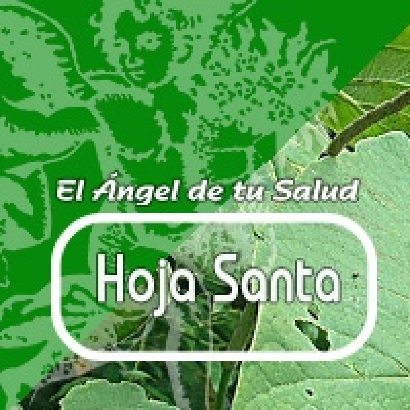El Ángel de tu Salud - HOJA SANTA** episode artwork