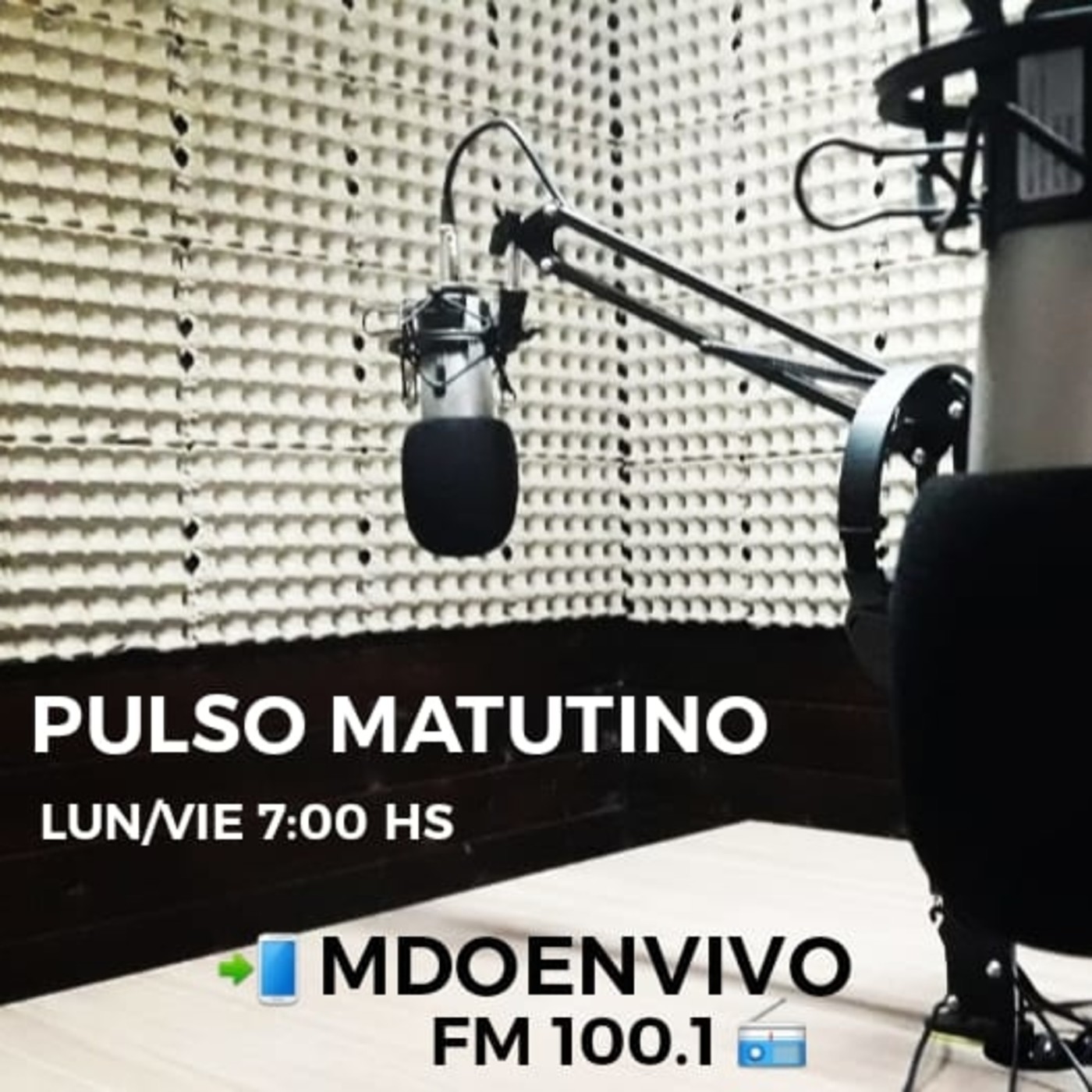 PULSO MATUTINO