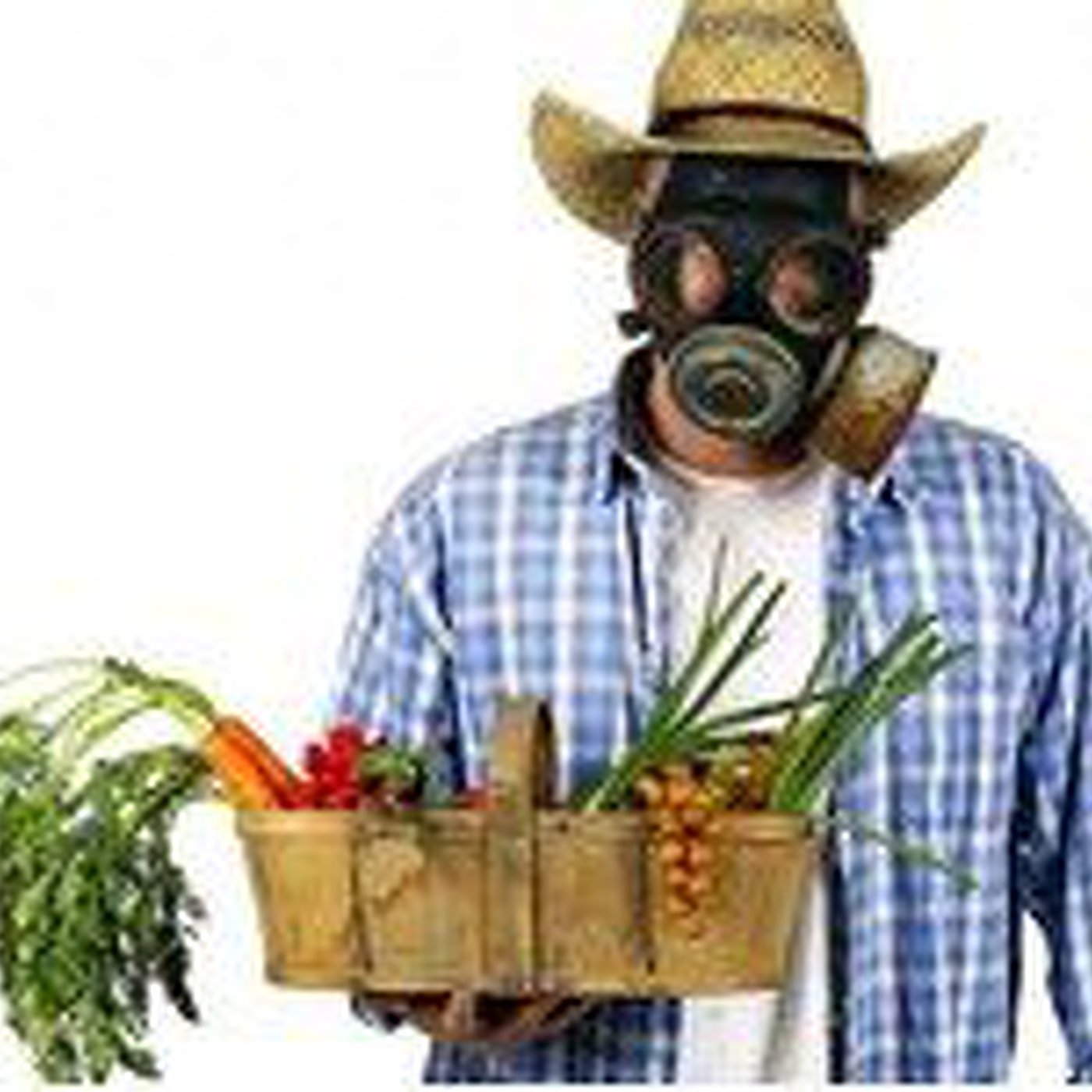 Programas Mundo Saludable