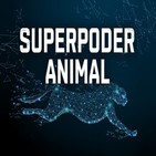 Superpoder animal: Suicidios de perros