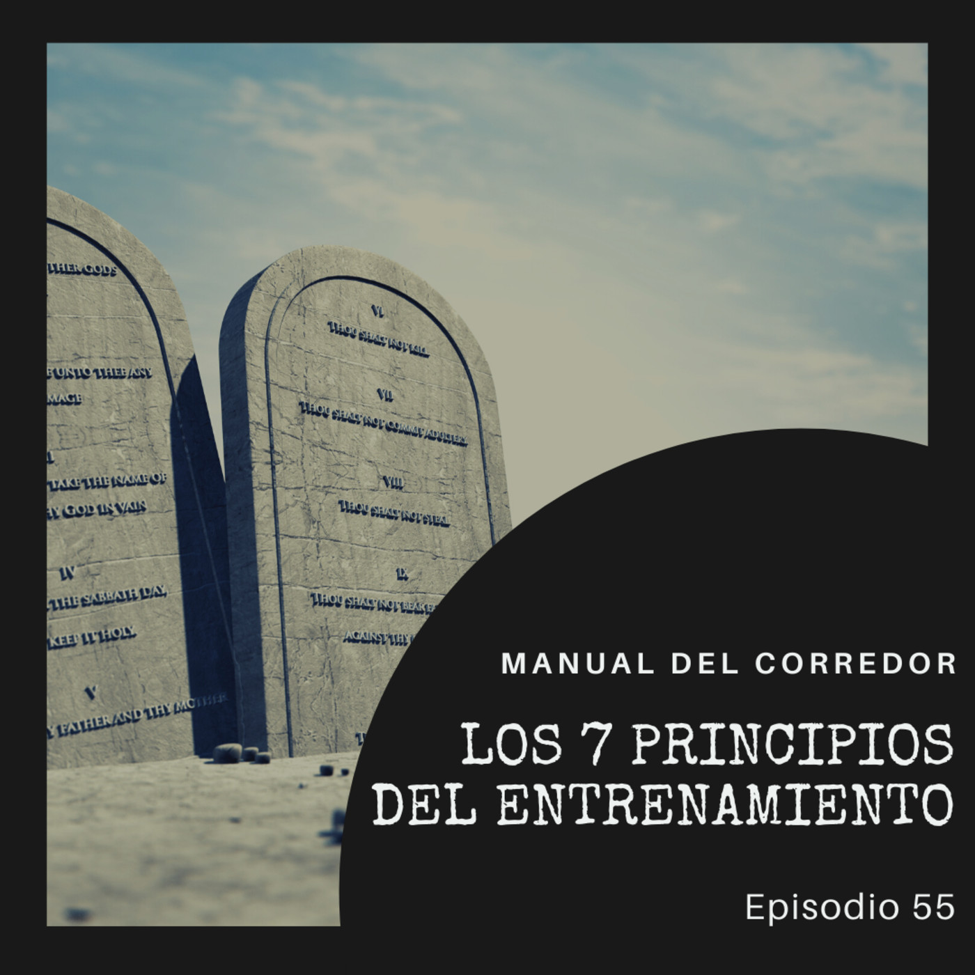 55. Los 7 principios del entrenamiento