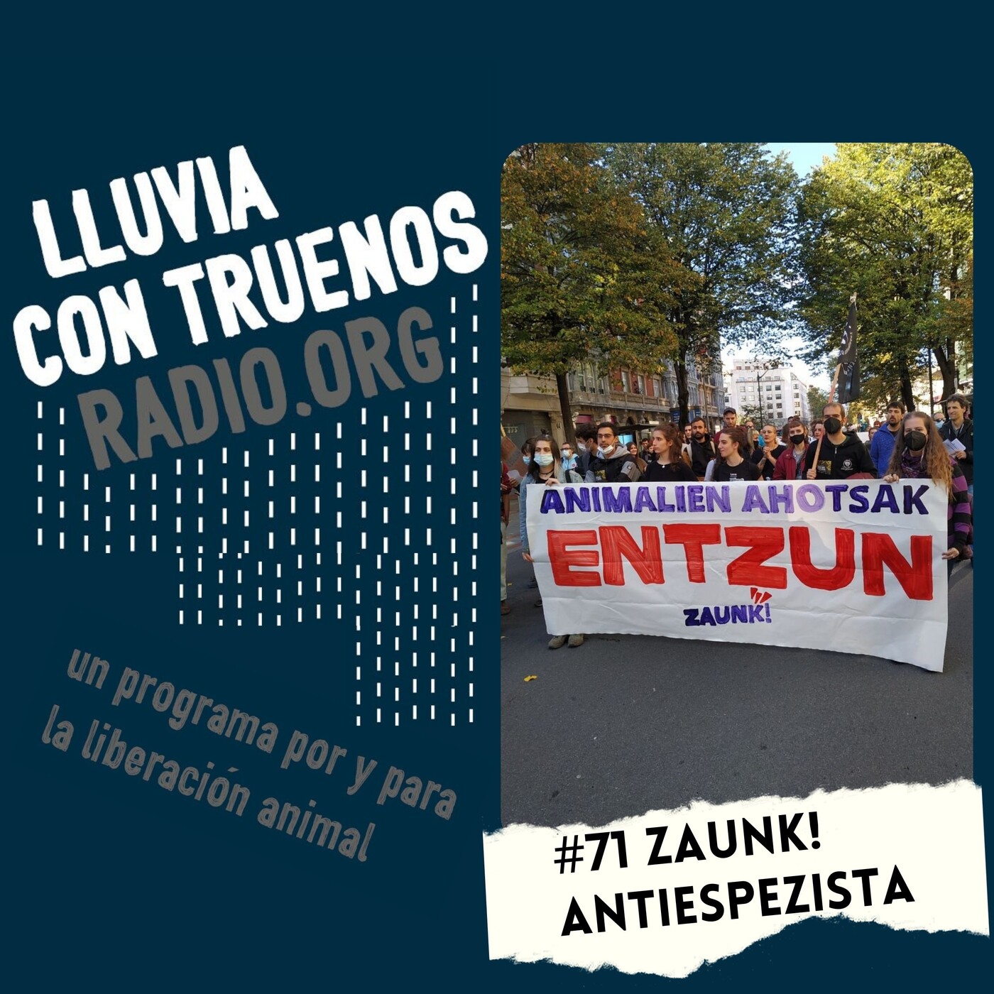 Lluvia con truenos radio