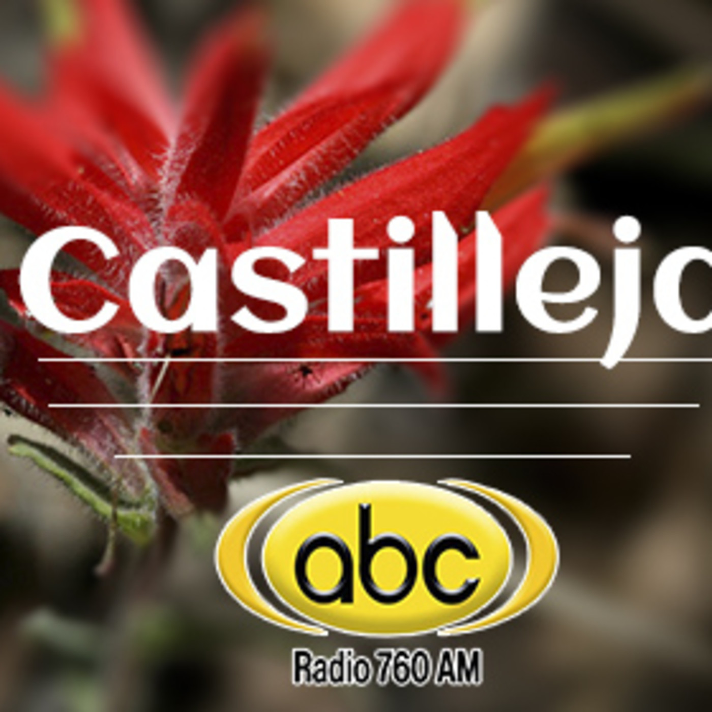 El Ángel de tu Salud - CASTILLEJA episode artwork