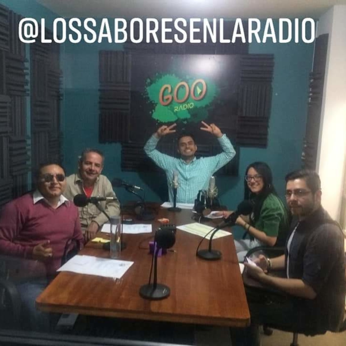 Los Sabores en la Radio