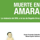 Muerte en Amara. la violencia del DRIL a la luz de Begoña Urroz