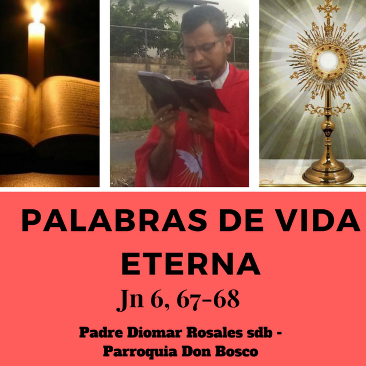 Palabras de Vida Eterna