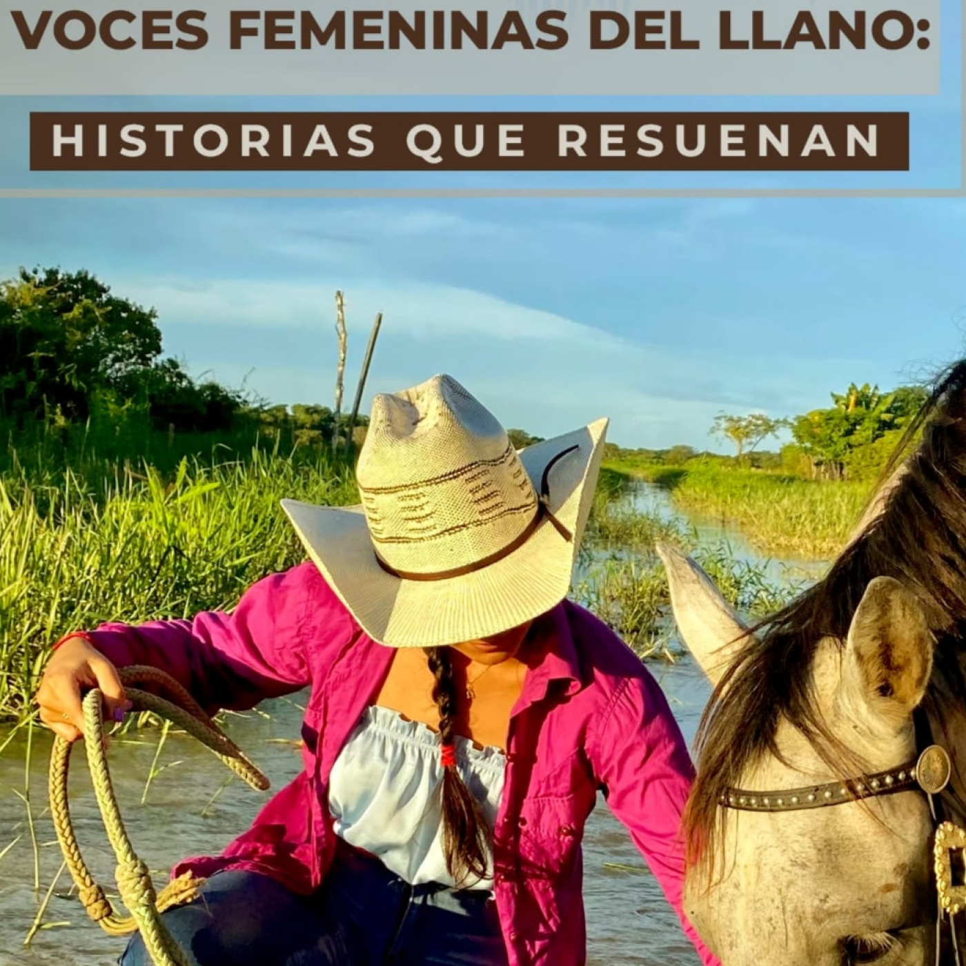 Miradas y Voces