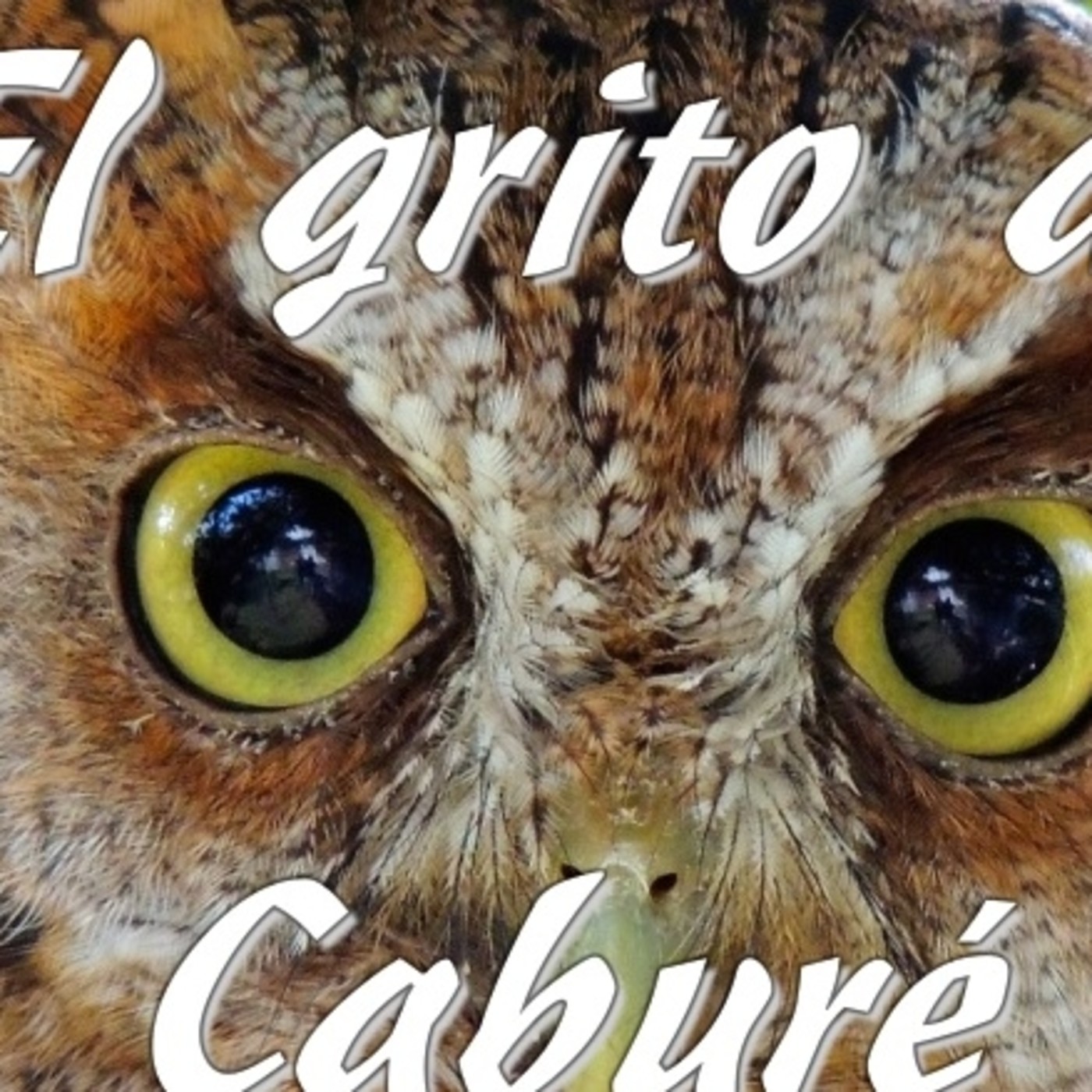 EL GRITO DEL CABURE