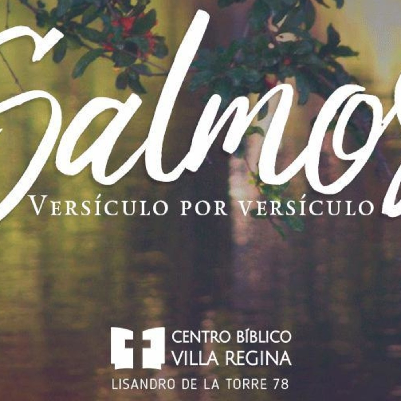 Salmos, versículo por versículo