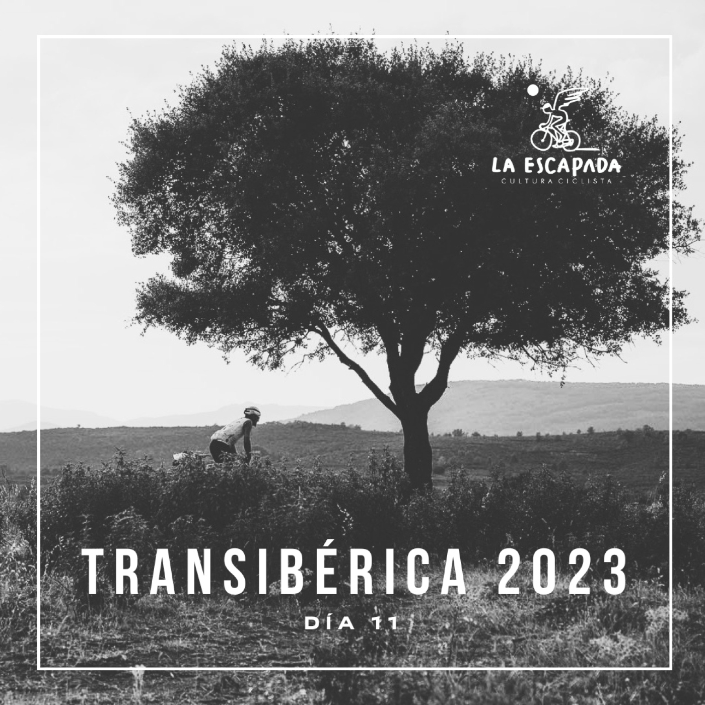 La Escapada #3x09-13 | Transibérica 2023 | Día 11