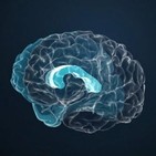 Filosofía de la mente: el universo de la conciencia. Philos Sophia