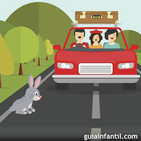 349. Un conejo en la vía.