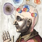 SN #42: Las inteligencias del ser humano