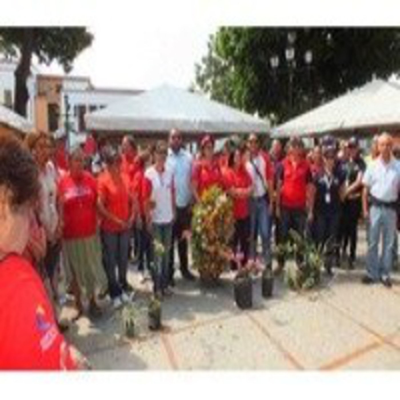 Podcast Noticias corresponsalía RNV Portuguesa