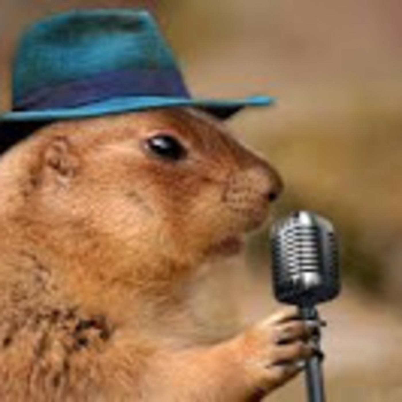 enlagunaradio