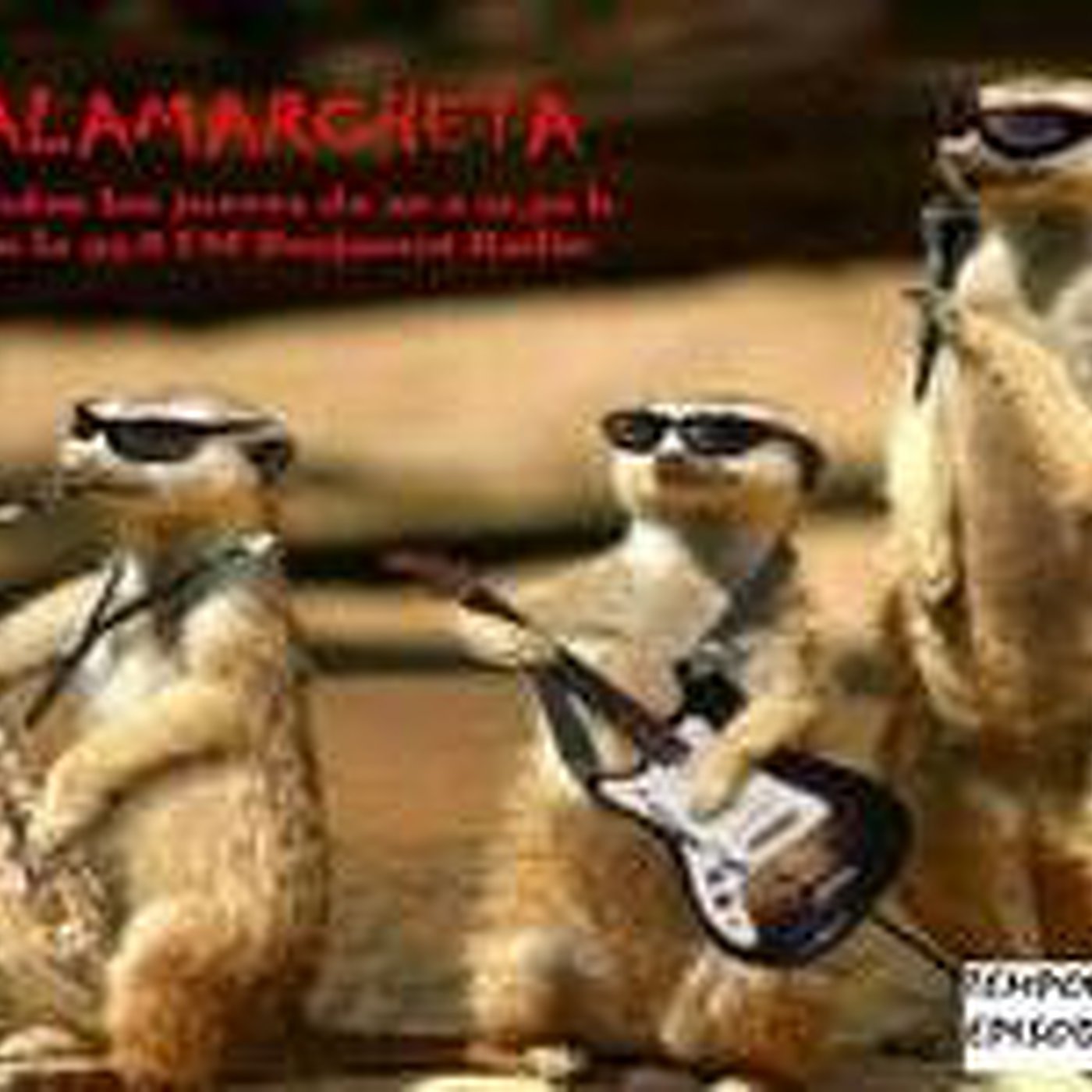 ALAMARCHETA Temporada 4