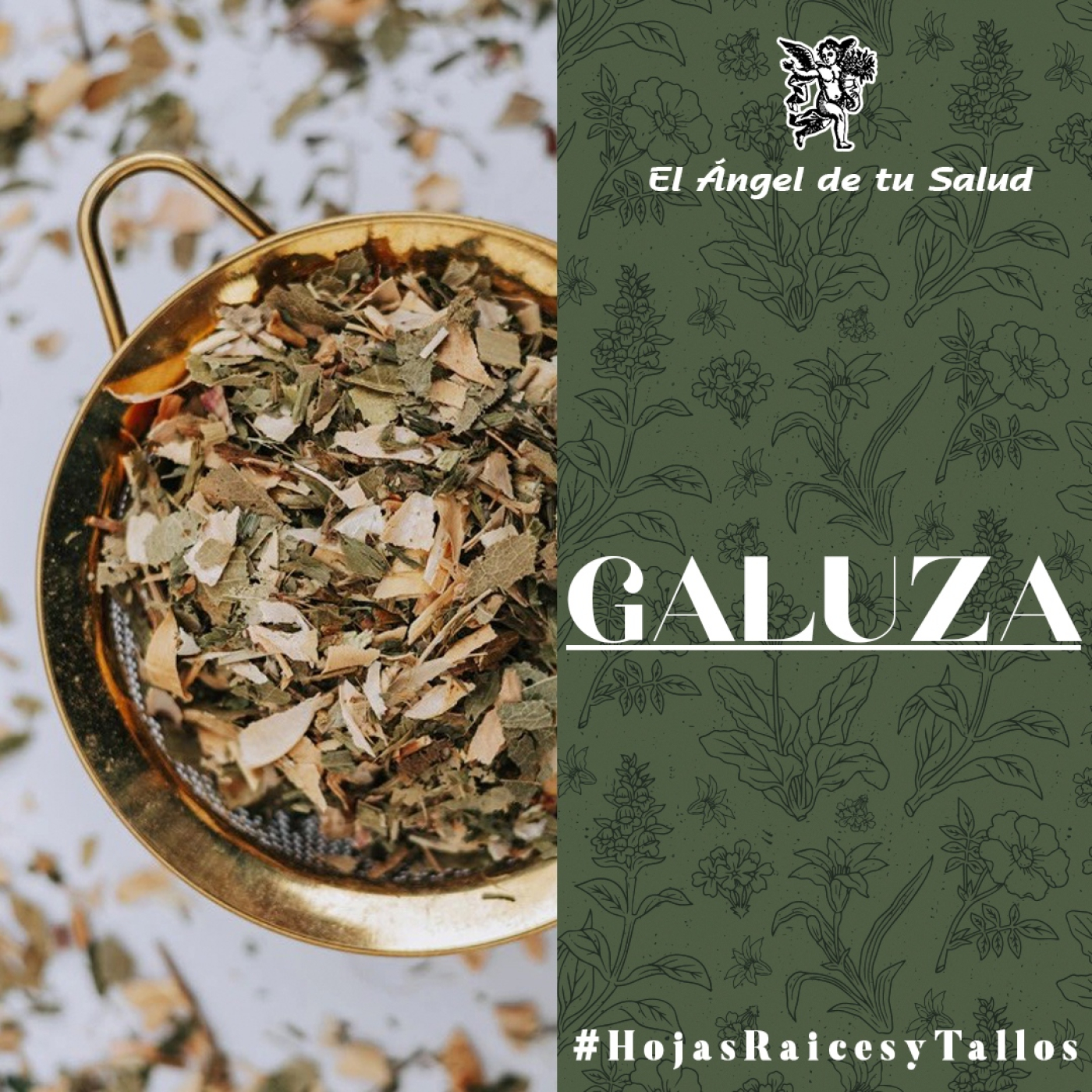 El Ángel de tu Salud - Galuza**