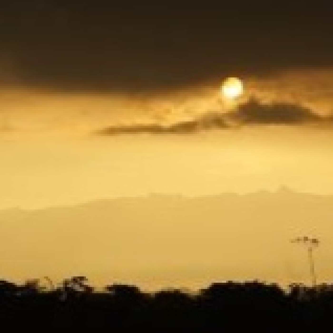 Cae la noche