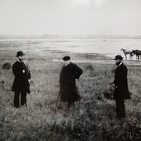 embed image