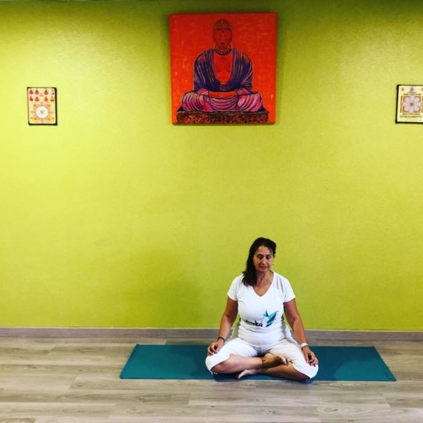 Ioga, meditació i mindfulness episode artwork