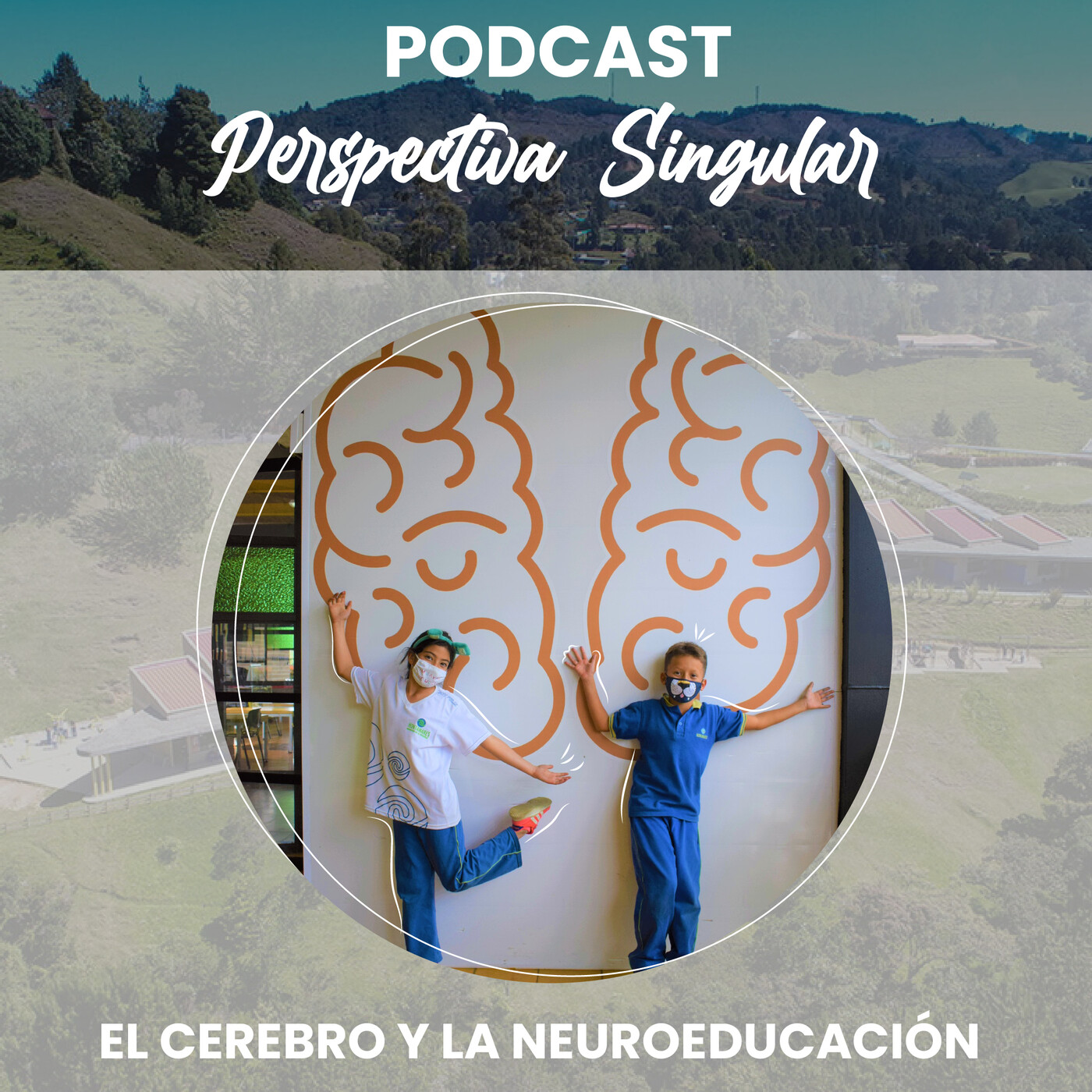 Perspectiva Singular