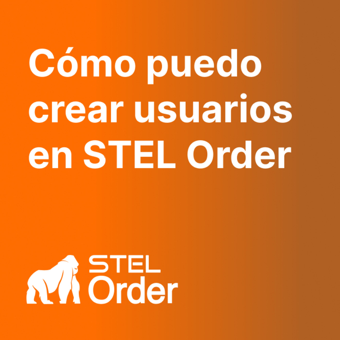 Ayuda y Soporte STEL Order