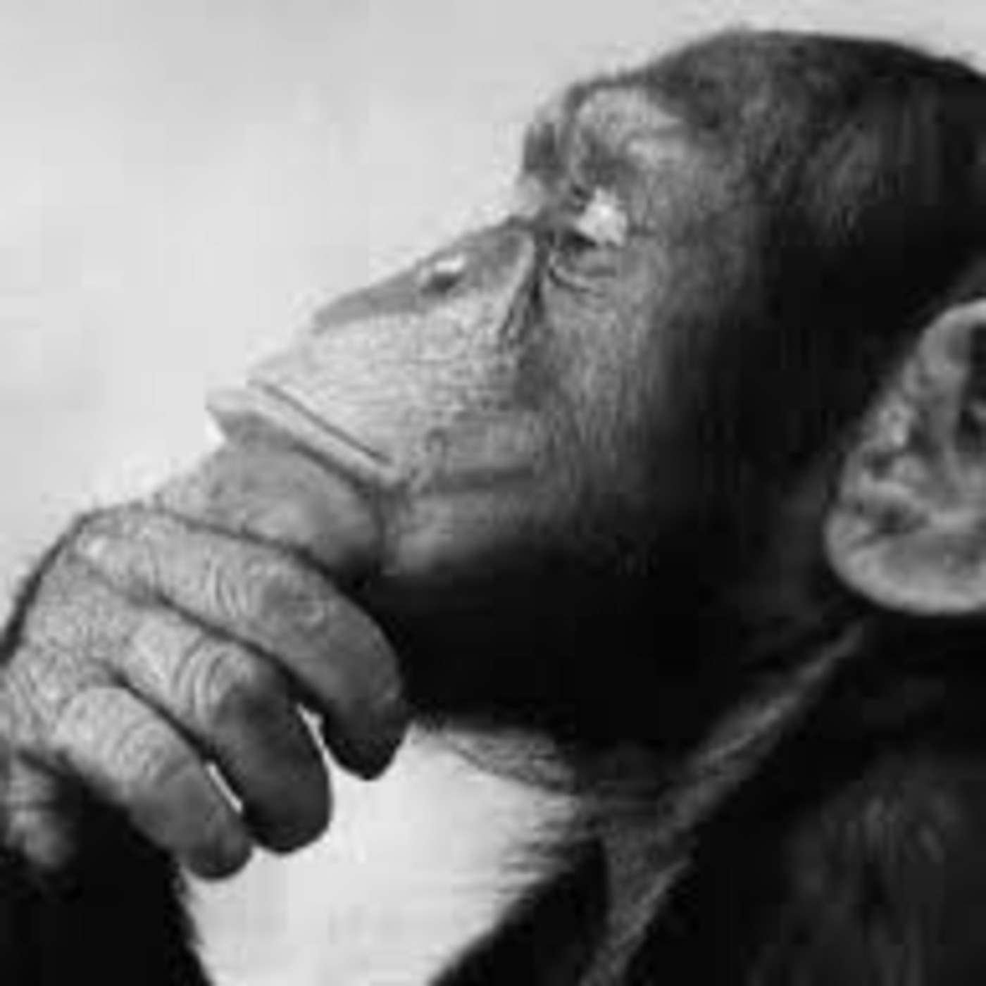 PHOTCAST 24, noticias y dudas de los photers PHOTCAST 24, noticias y dudas de los photers