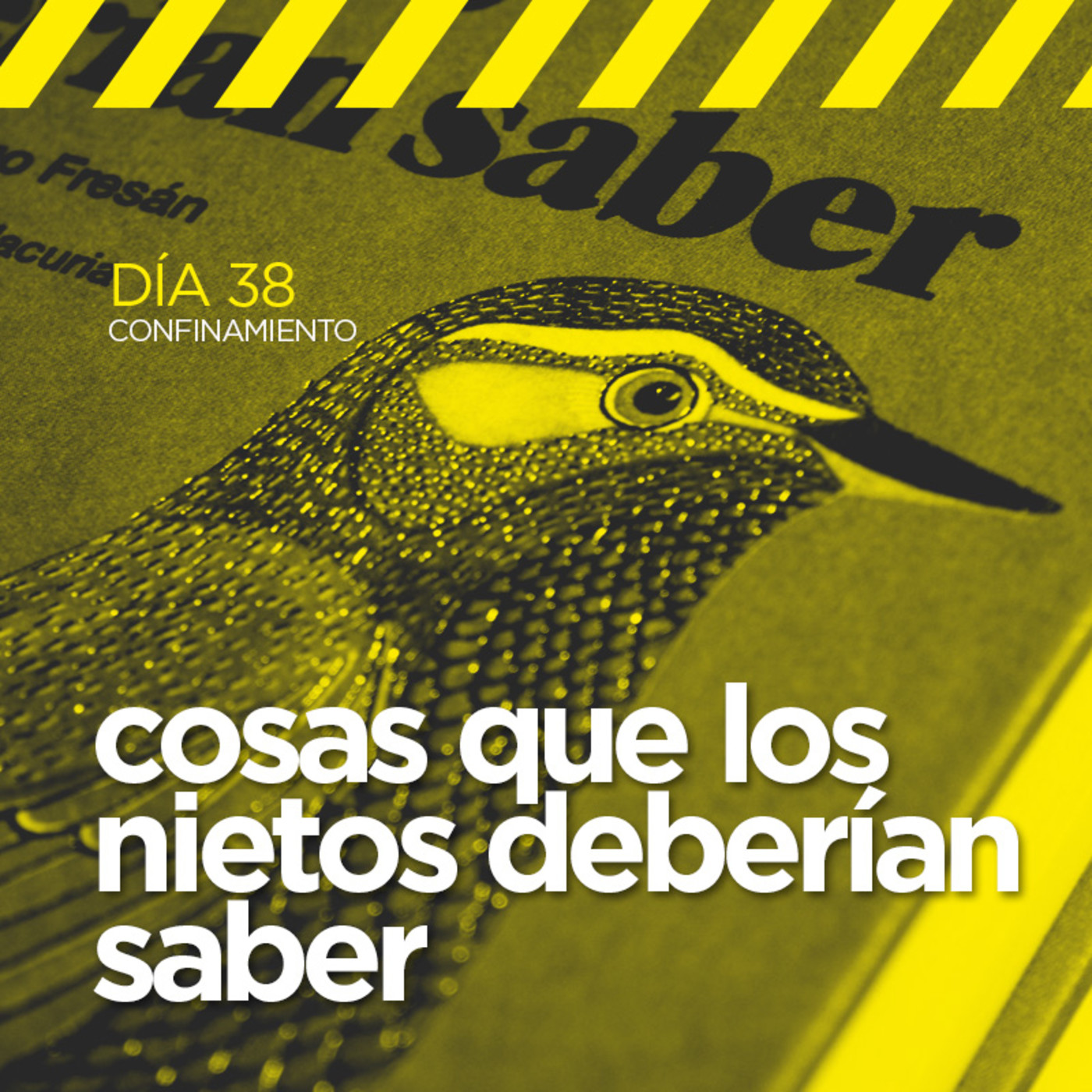 Diario de un Confinamiento
