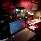 Mix rock en ingles (neu skrapy)