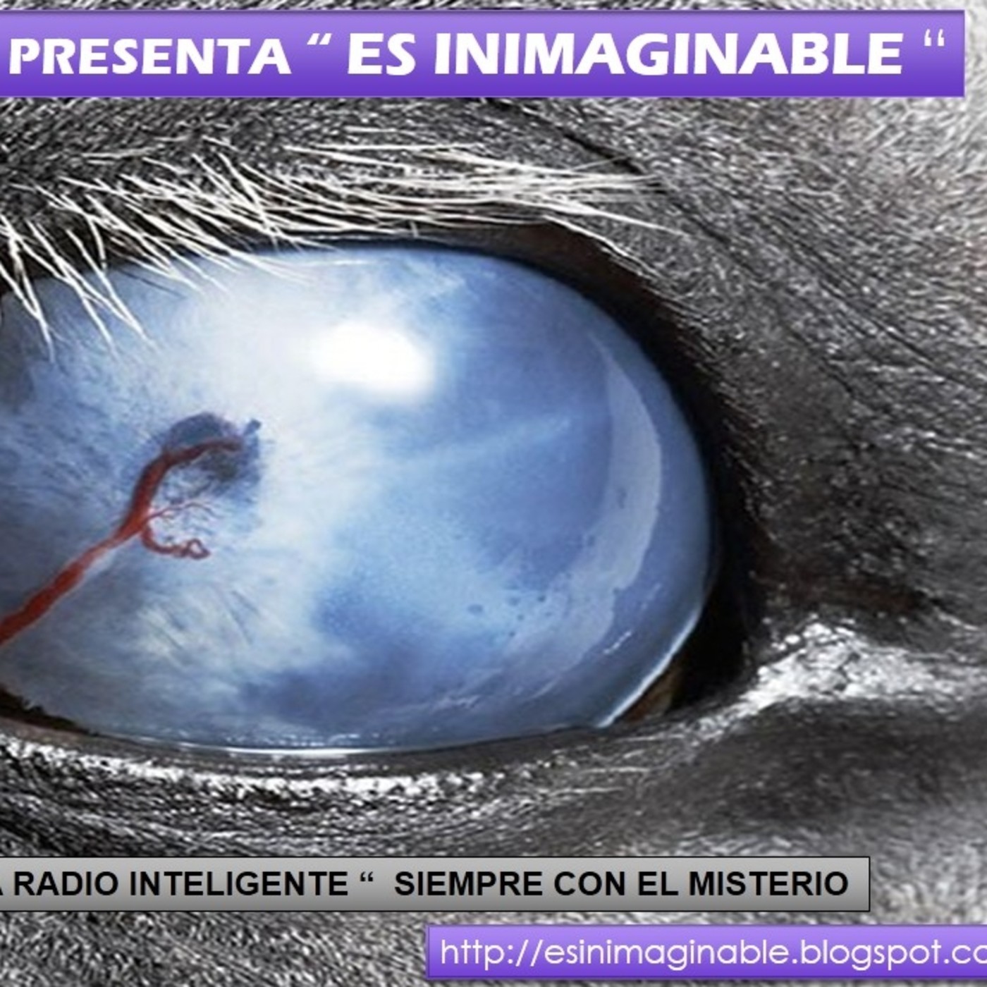 Podcast RADIO TORREPARAISO