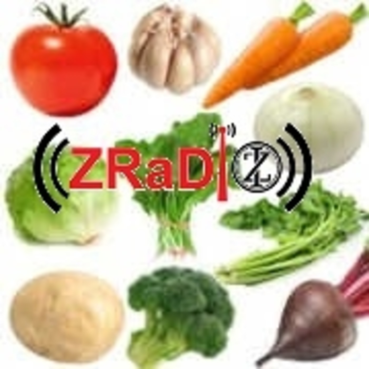 ((ZRaDio)) 2018-2019 ((Especiales))