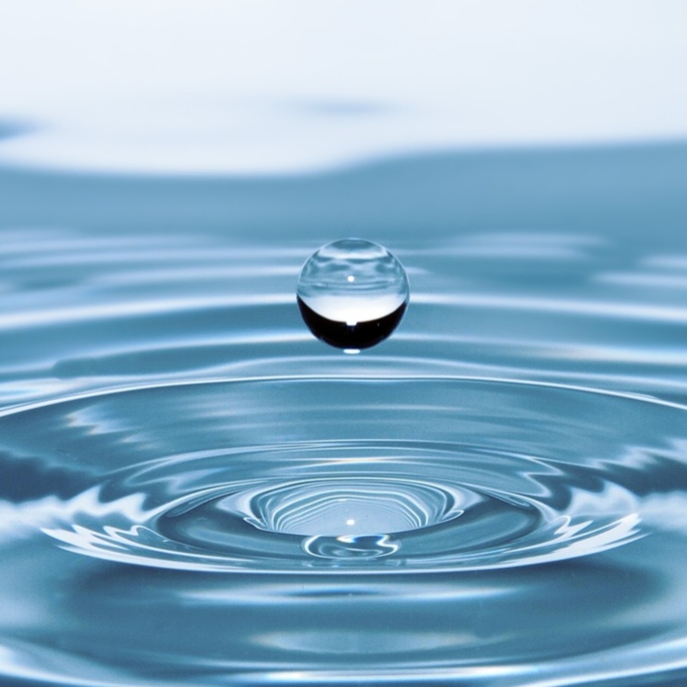 Roger Àlvarez Meditación